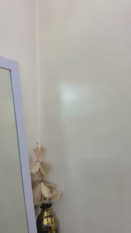 Black Beauty Co-ord Set